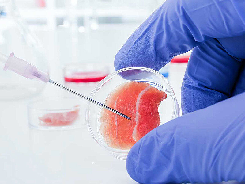 kok hucre ile skar tedavisi ile ilgili en sik sorulan sorular